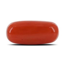 Red Coral (Moonga) - 3.88 Carat 