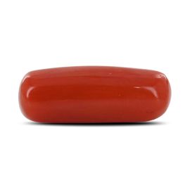 Red Coral (Moonga) - 4.53 Carat 