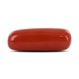 Red Coral (Moonga) - 4.26 Carat 