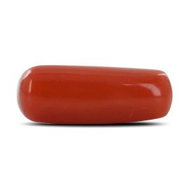 Red Coral (Moonga) - 4.22 Carat 