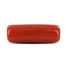 Red Coral (Moonga) - 4.18 Carat 