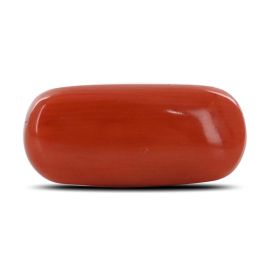 Red Coral (Moonga) - 3.88 Carat 