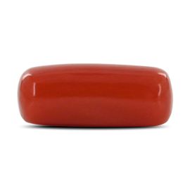 Red Coral (Moonga) - 3.81 Carat 