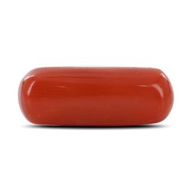 Red Coral (Moonga) - 4.46 Carat 