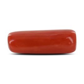 Red Coral (Moonga) - 4.33 Carat 