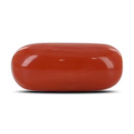 Red Coral (Moonga) - 11.93 Carat 