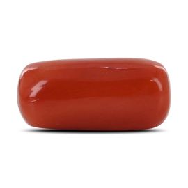 Red Coral (Moonga) - 13.16 Carat 