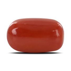 Red Coral (Moonga) - 14.77 Carat 