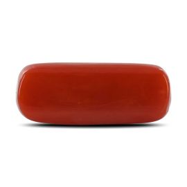 Red Coral (Moonga) - 9.67 Carat 