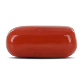 Red Coral (Moonga) - 12.58 Carat 