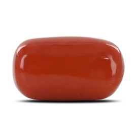 Red Coral (Moonga) - 12.68 Carat 