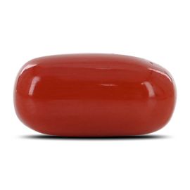 Red Coral (Moonga) - 13.65 Carat 