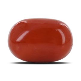 Red Coral (Moonga) - 10.6 Carat 