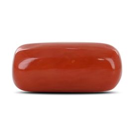 Red Coral (Moonga) - 11.65 Carat 