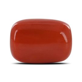 Red Coral (Moonga) - 13 Carat 