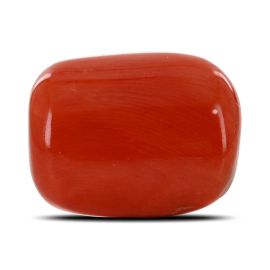 Red Coral (Moonga) - 20 Carat 