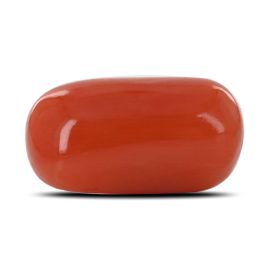 Red Coral (Moonga) - 9.23 Carat 