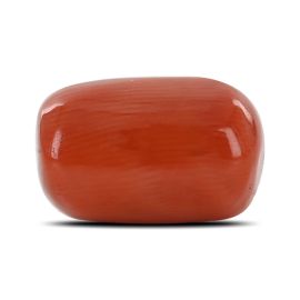 Red Coral (Moonga) - 12.27 Carat 