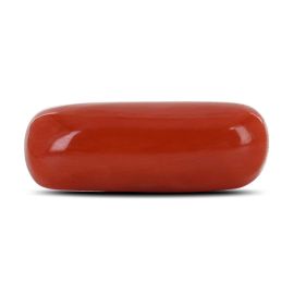 Red Coral (Moonga) - 9.58 Carat 