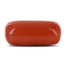 Red Coral (Moonga) - 10.25 Carat 