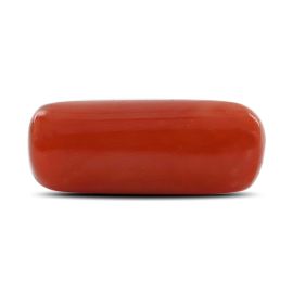 Red Coral (Moonga) - 9.8 Carat 