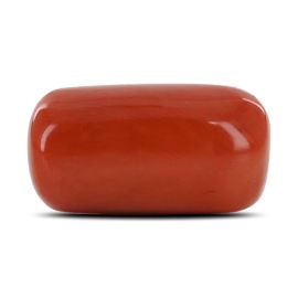 Red Coral (Moonga) - 16.16 Carat 