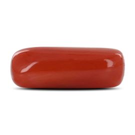 Red Coral (Moonga) - 8.58 Carat 