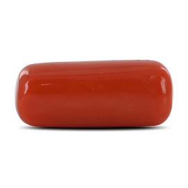 Red Coral (Moonga) - 9.04 Carat 