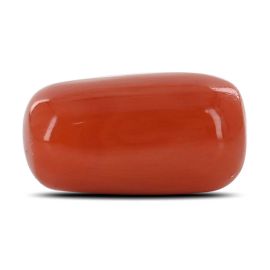 Red Coral (Moonga) - 9.72 Carat 