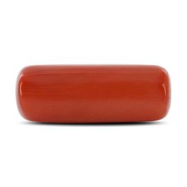 Red Coral (Moonga) - 8.03 Carat 