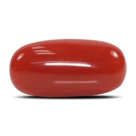 Red Coral (Moonga) - 5.94 Carat 