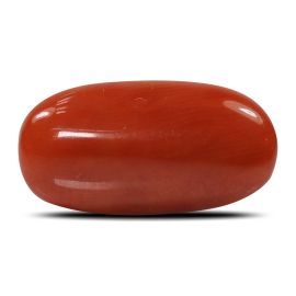 Red Coral (Moonga) - 5.37 Carat 