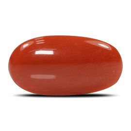 Red Coral (Moonga) - 5.31 Carat 