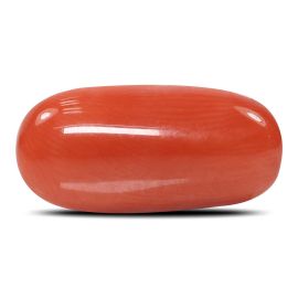 Red Coral (Moonga) - 5.43 Carat 