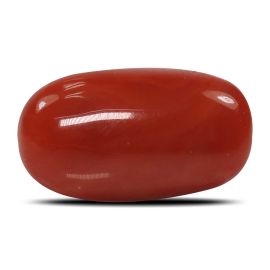 Red Coral (Moonga) - 5.28 Carat 