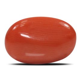 Red Coral (Moonga) - 5.79 Carat 