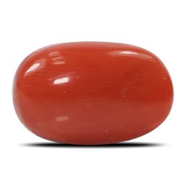 Red Coral (Moonga) - 6.5 Carat 