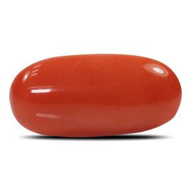 Red Coral (Moonga) - 5.31 Carat 