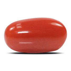 Red Coral (Moonga) - 5.55 Carat 