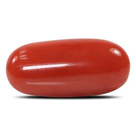 Red Coral (Moonga) - 5.51 Carat 