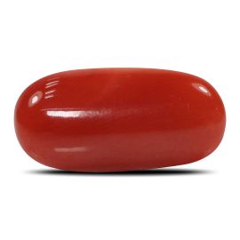 Red Coral (Moonga) - 6.27 Carat 