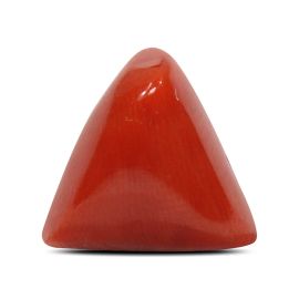 Red Coral (Moonga) - 5.76 Carat 