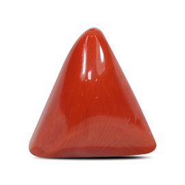 Red Coral (Moonga) - 5.79 Carat 