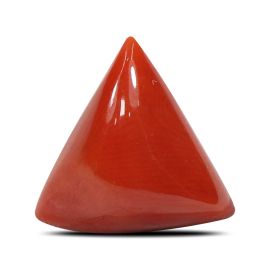 Red Coral (Moonga) - 4.88 Carat 