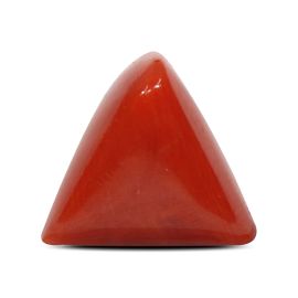 Red Coral (Moonga) - 4.61 Carat 