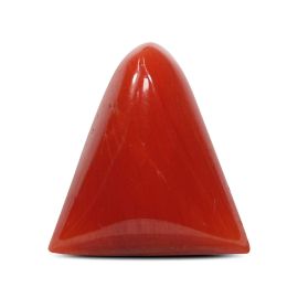 Red Coral (Moonga) - 8.21 Carat 