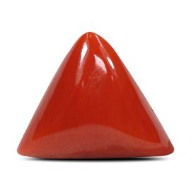 Red Coral (Moonga) - 6.54 Carat 