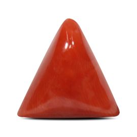 Red Coral (Moonga) - 6.62 Carat 