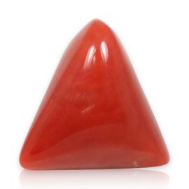 Red Coral (Moonga) - 7.67 Carat 