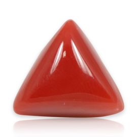 Red Coral (Moonga) - 5.58 Carat 